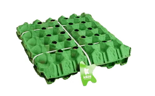 Huevos Kikes Eco A