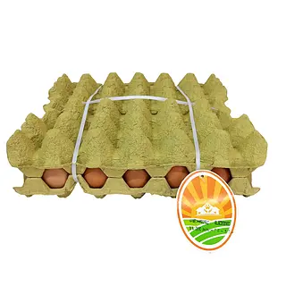 Huevo El Tesoro Tipo A