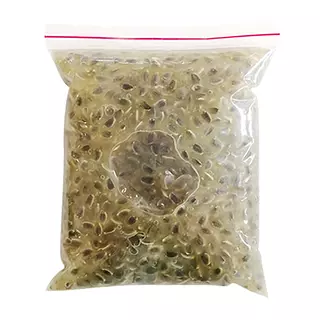 Pulpa de Granadilla Megafruver