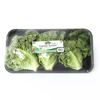 Cogollito Horti Fresco