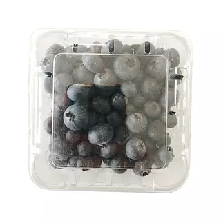 Arándanos Megafruver