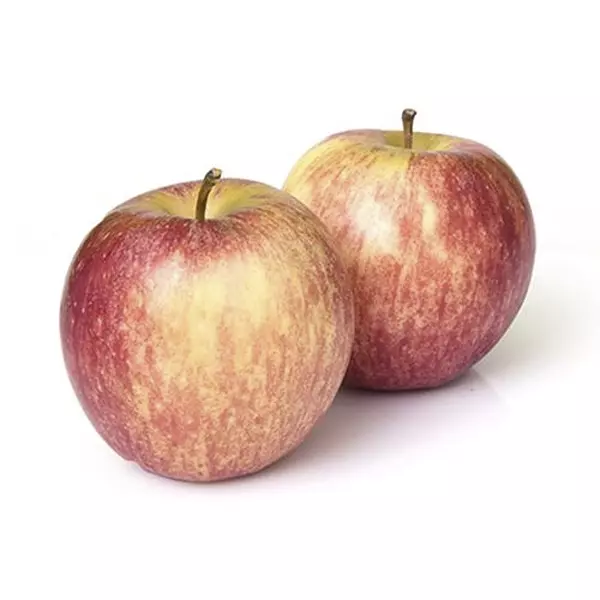 Manzana Royal Megafruver