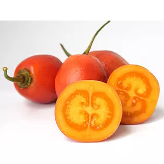 Tomate de Árbol Megafruver