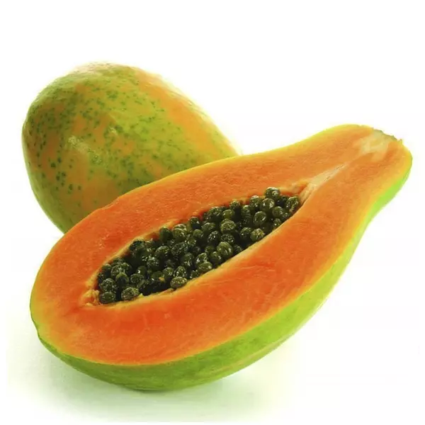 Papaya Maradol Megafruver