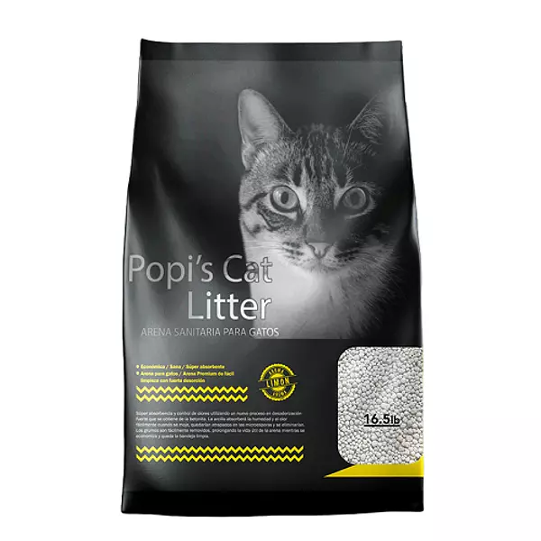 Arena Gatos Popis