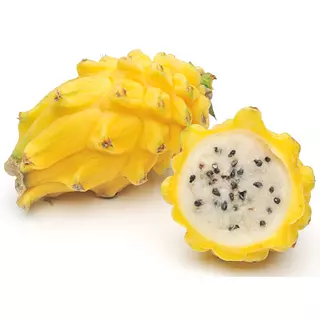 Pitahaya Megafruver
