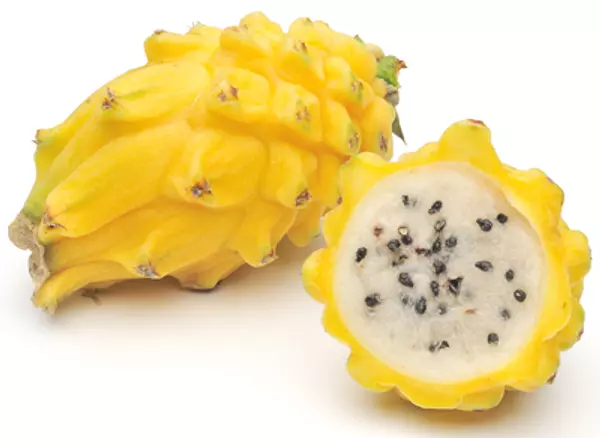 Pitahaya Megafruver